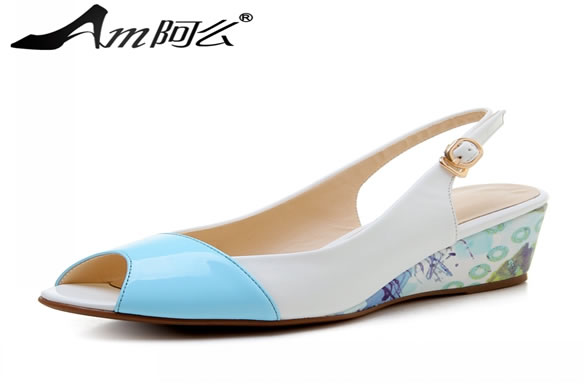 《阿么女鞋加盟费》