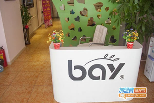 bay׼˷ѡ