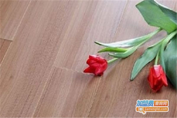《邦大卫木地板加盟费》