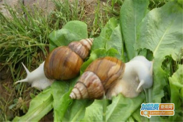 źŰţֳ˷ѡ