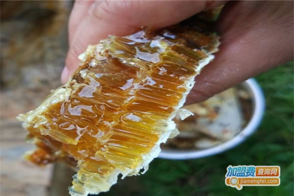 《鲍记蜂蜜加盟费》