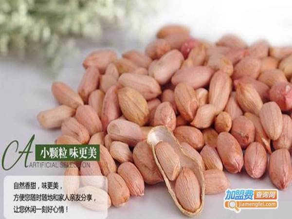 《八集花生制品加盟费》