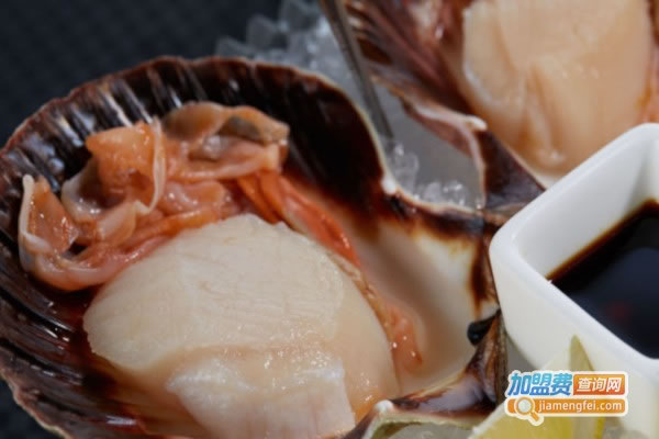 CaptainOysterBar˷ѡ
