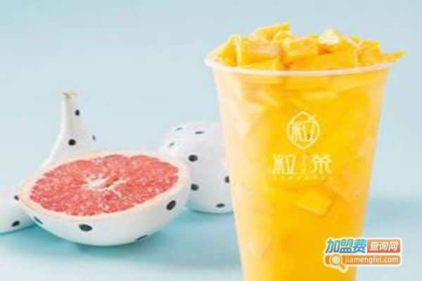 《茶潮饮品加盟费》