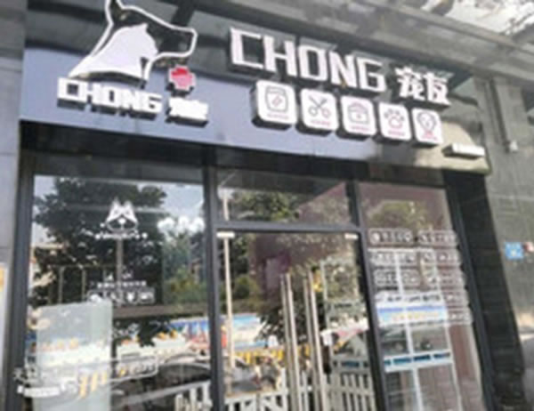 CHONGѼ˷ѡ