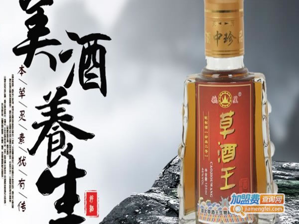 《草酒王加盟费》