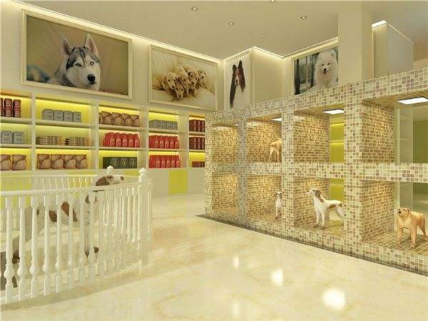 《宠物店连锁加盟费》