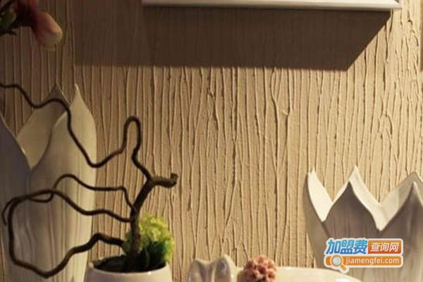 《地球家园硅藻泥加盟费》