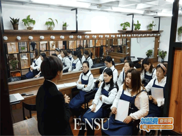 《ENSU美学教育加盟费》