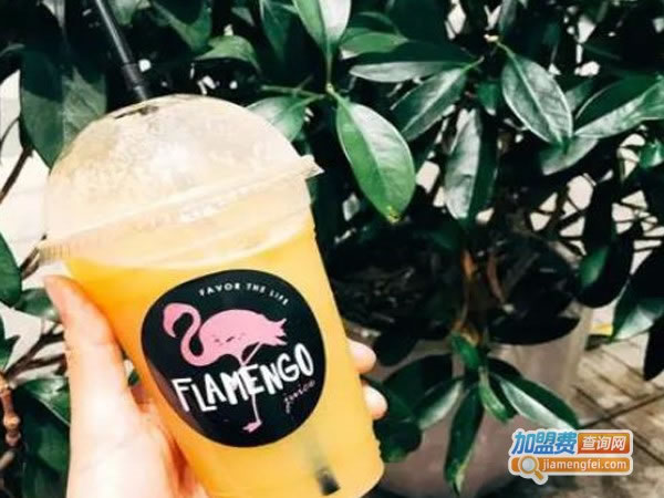 flamengo juice֭˷ѡ