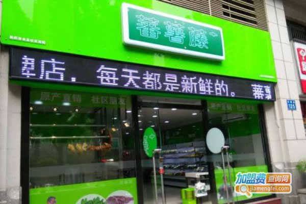 《蕃薯藤加盟费》