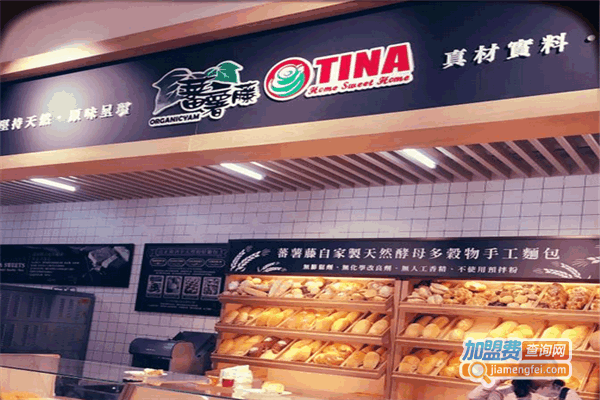 ެTINA˷ѡ