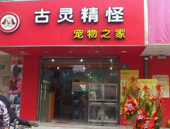龫ֳ˷ѡ