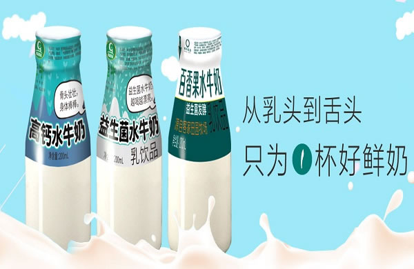 《桂牛牛奶加盟费》