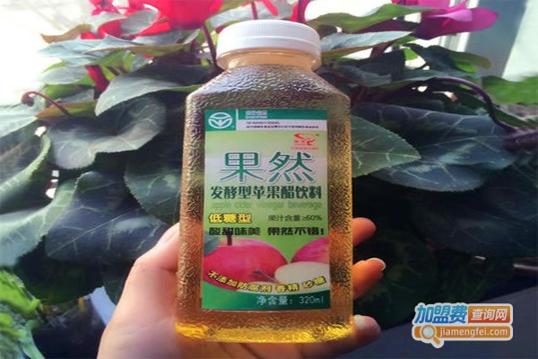 Ȼƻ׼˷ѡ