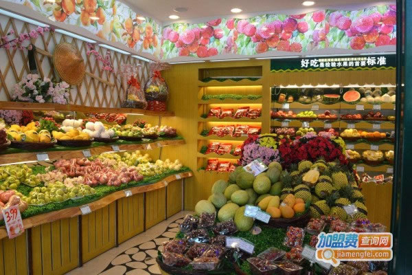《果然新鲜水果店加盟费》