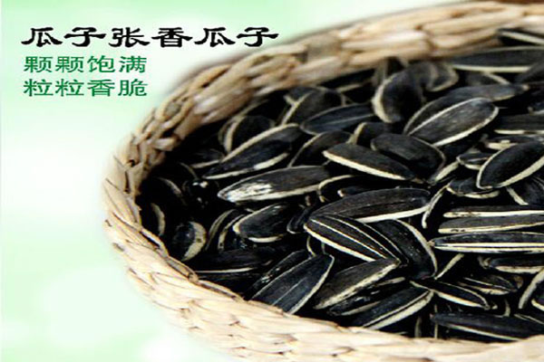 《瓜子张加盟费》