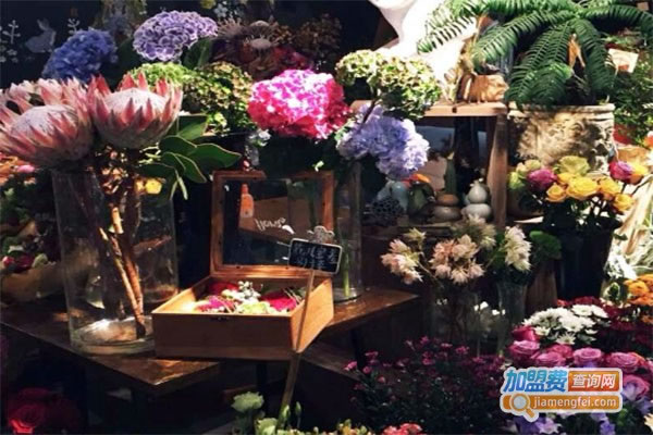 《花仙缘花店加盟费》