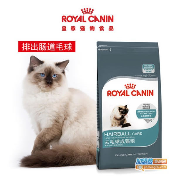 《皇誉宠物食品加盟费》