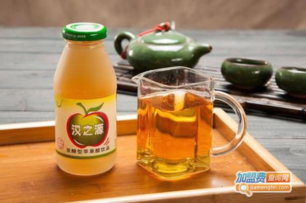 《汉之源饮品加盟费》
