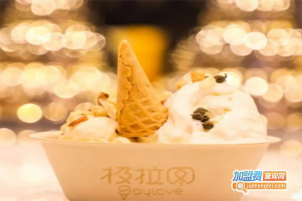 《极拉图冰淇淋&茶加盟费》