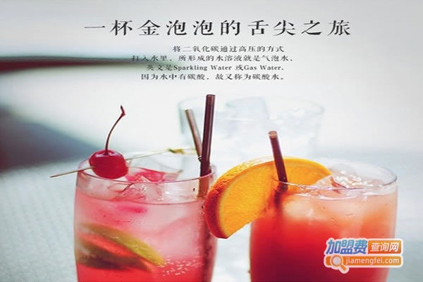 《金泡泡气泡水机加盟费》