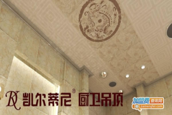 《凯尔蒂尼集成吊顶加盟费》