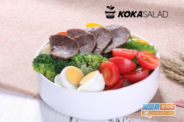 KOKA SALADʳɳ˷ѡ