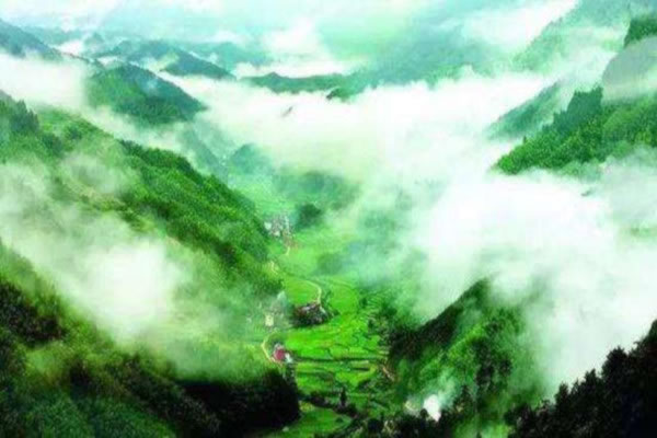 《空气环保加盟费》