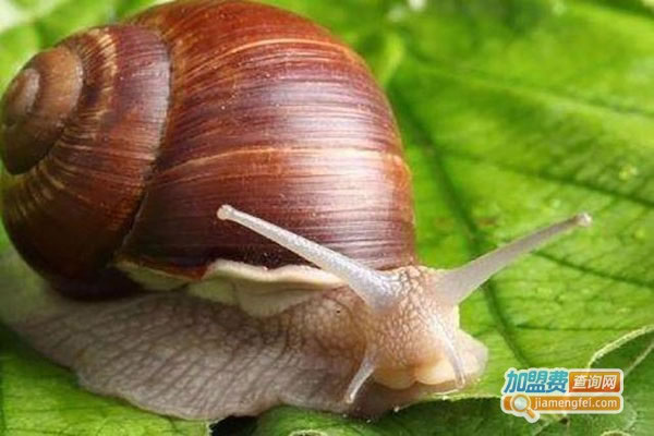 ¡ϰţֳ˷ѡ