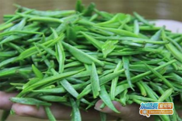 《老而青润肺茶加盟费》