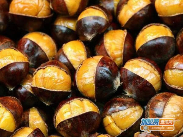 《骆记野生板栗加盟费》