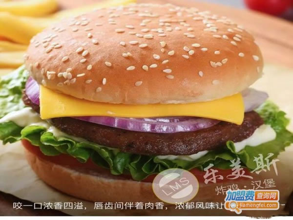 《乐美斯炸鸡加盟费》