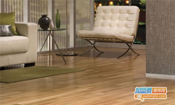 《龙森地板加盟费》