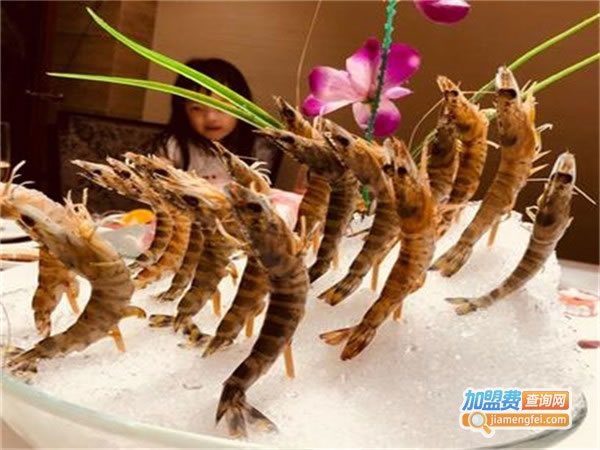 《龙一海鲜加盟费》
