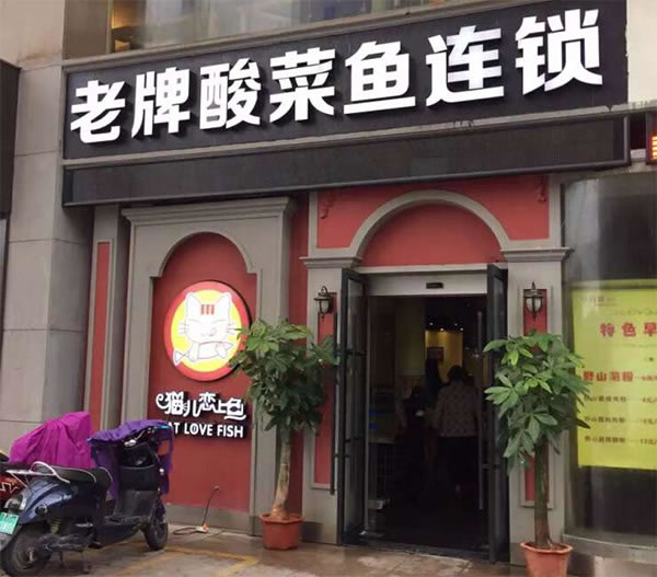 《猫儿恋上鱼加盟费》