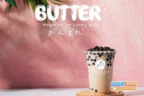 《木马醇茶加盟费》