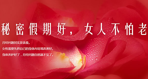 《秘密假期加盟费》