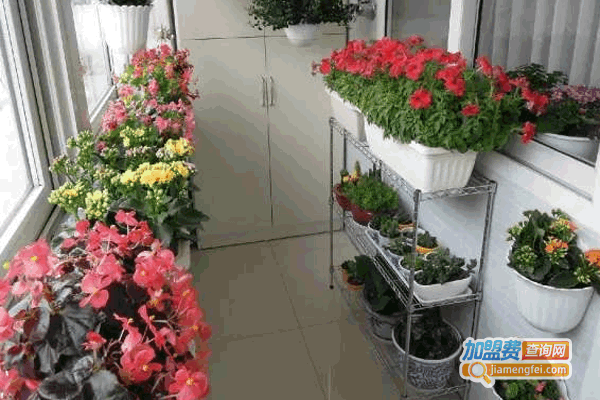 《名缘花店加盟费》