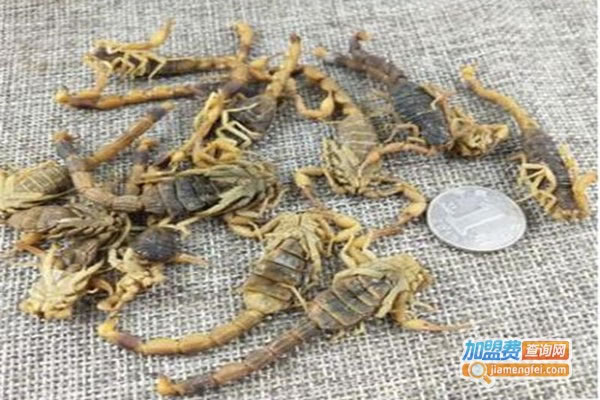 《农邦蝎子养殖加盟费》