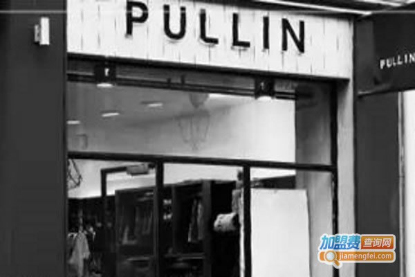 pull in¼˷ѡ