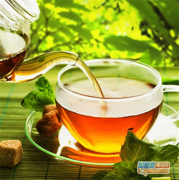 《如果茶加盟费》