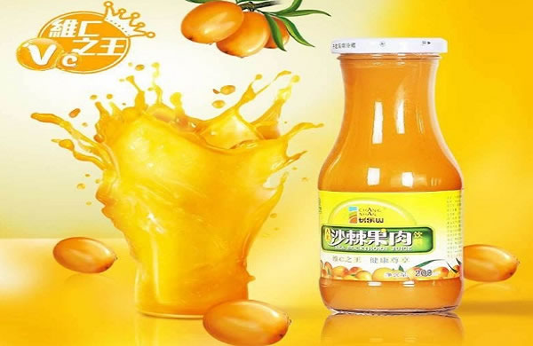 《沙棘果汁饮料加盟费》