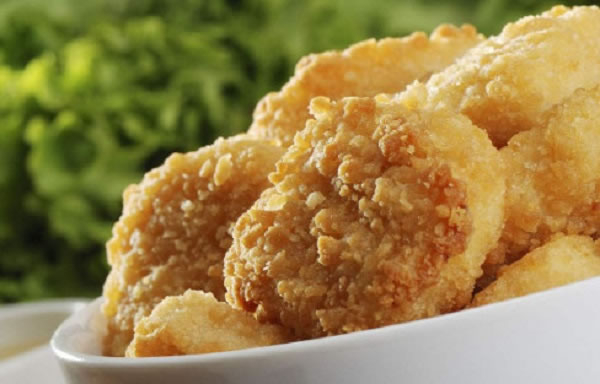 《食客炸鸡加盟费》