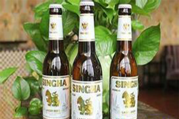 《胜狮啤酒加盟费》