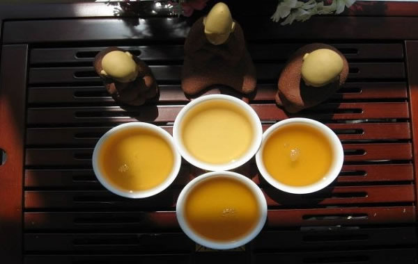 《听茶加盟费》