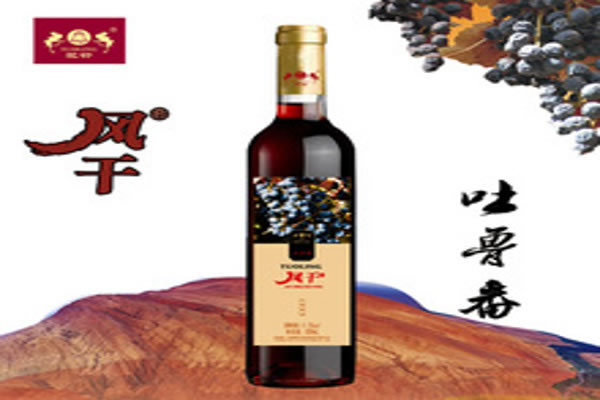 《驼铃风干葡萄酒加盟费》