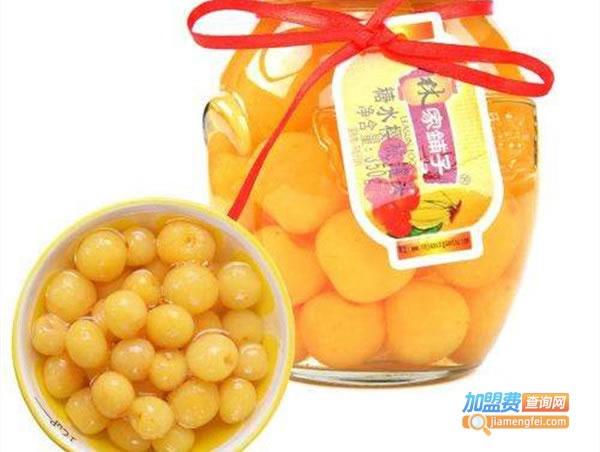 《糖水铺子加盟费》