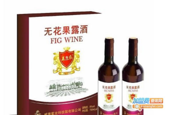 《无花果酒业加盟费》