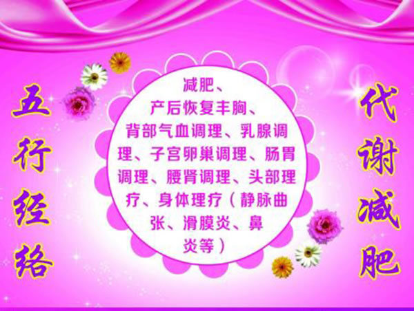 《五行经络刷减肥加盟费》